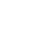 Fire ant icon